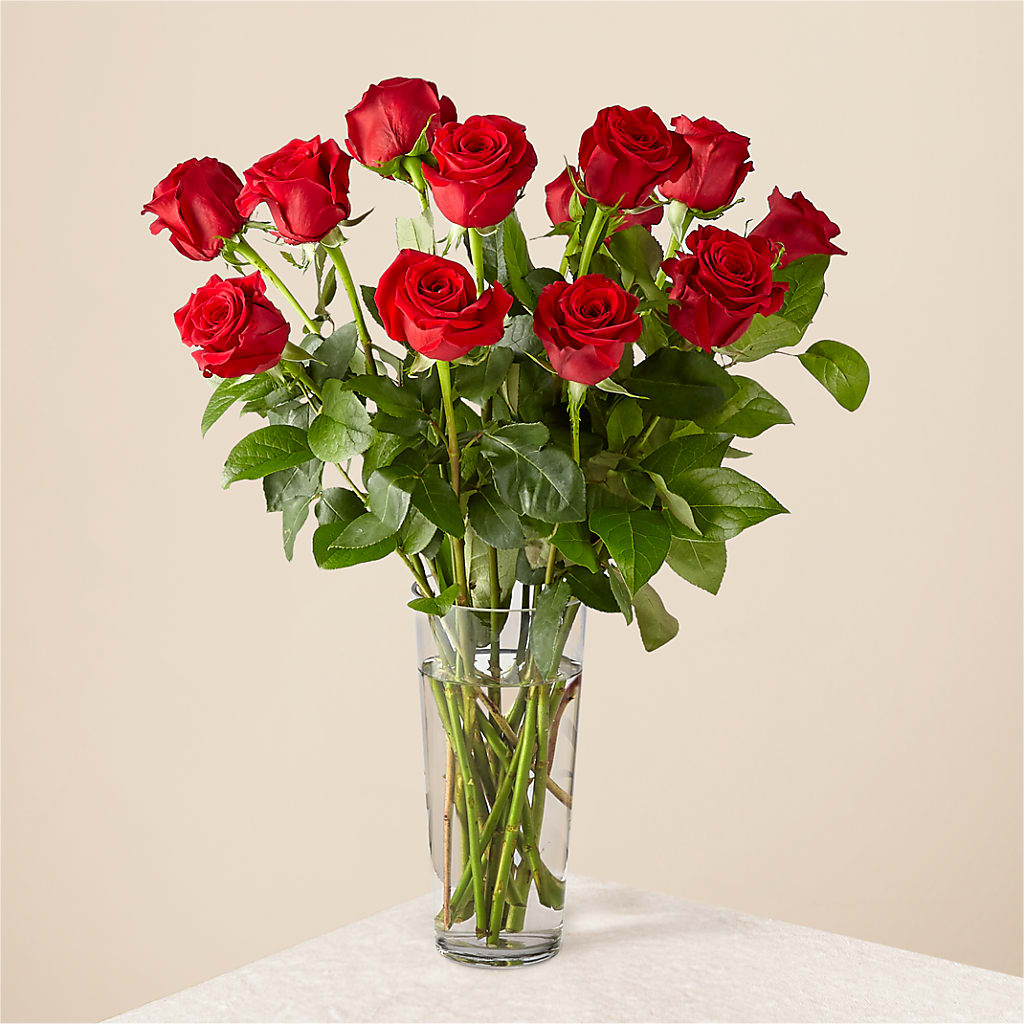 Long Stem Red Rose Bouquet – Ginas Flower Shop, South Plainfield NJ