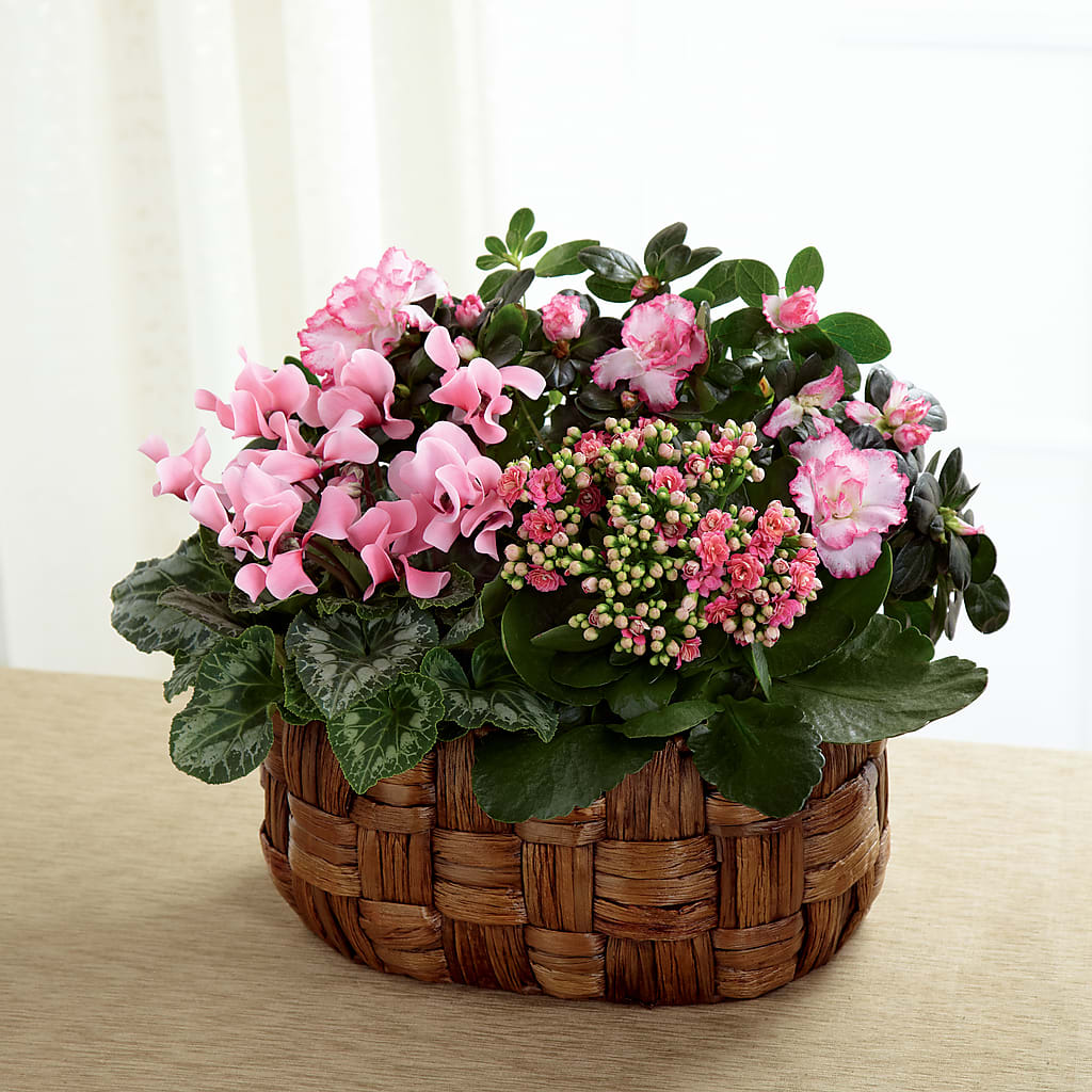 Pink Assortment – Ginas Flower Shop, South Plainfield NJ