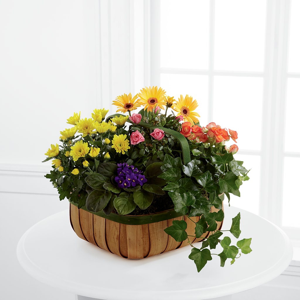 Gentle Blossoms Basket – Ginas Flower Shop, South Plainfield NJ