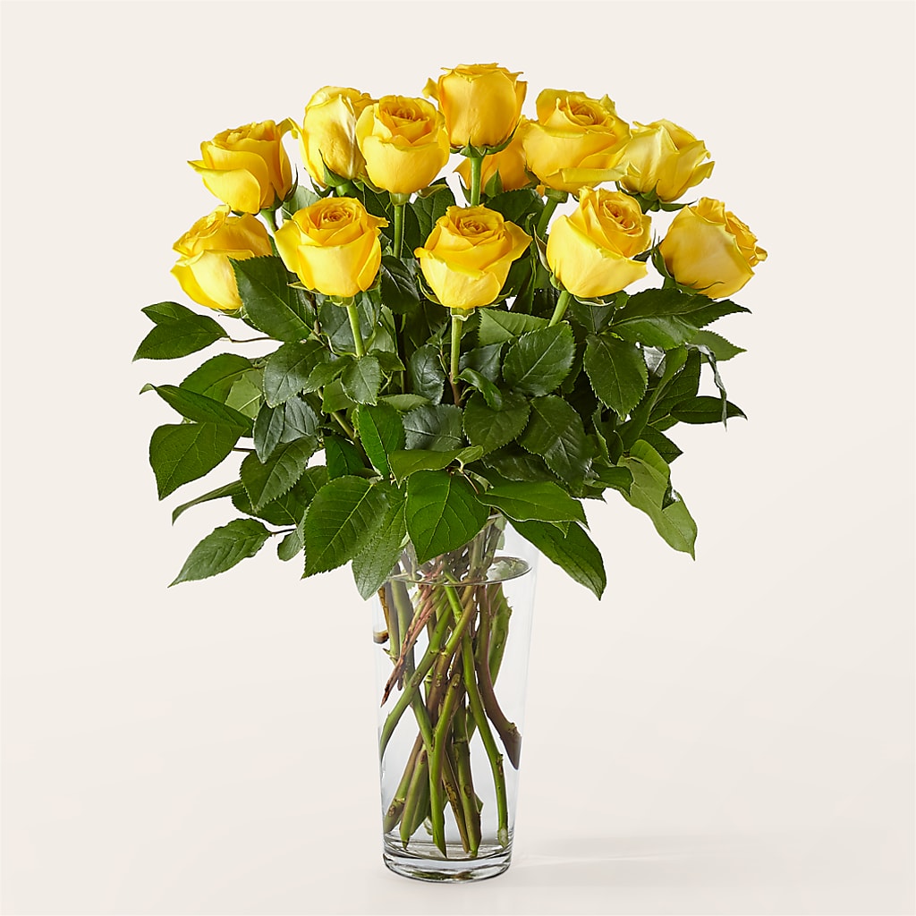 Long Stem Yellow Rose Bouquet – Ginas Flower Shop, South Plainfield NJ