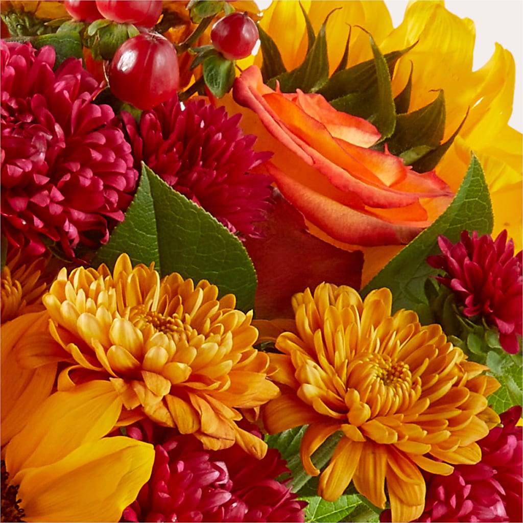 Sweater Season - A Florist Original – Ginas Flower Shop, South Plainfield NJ