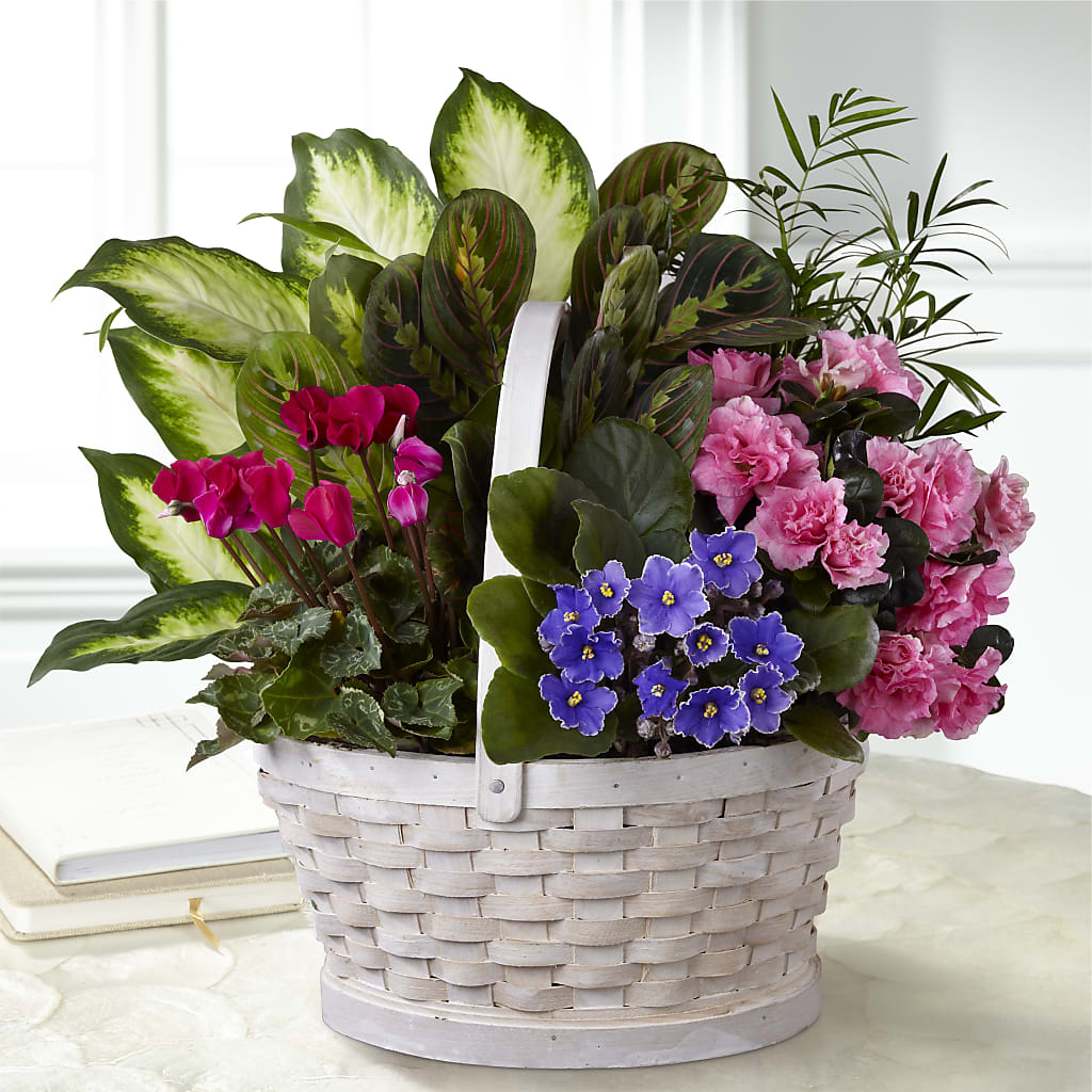 Peaceful Garden Planter – Ginas Flower Shop, South Plainfield NJ