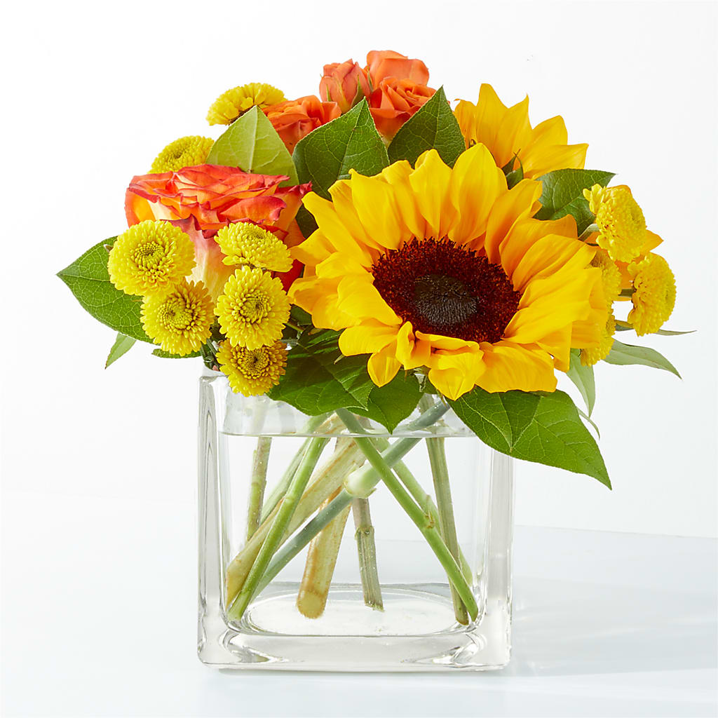 Picnic in the Park Bouquet – Ginas Flower Shop, South Plainfield NJ