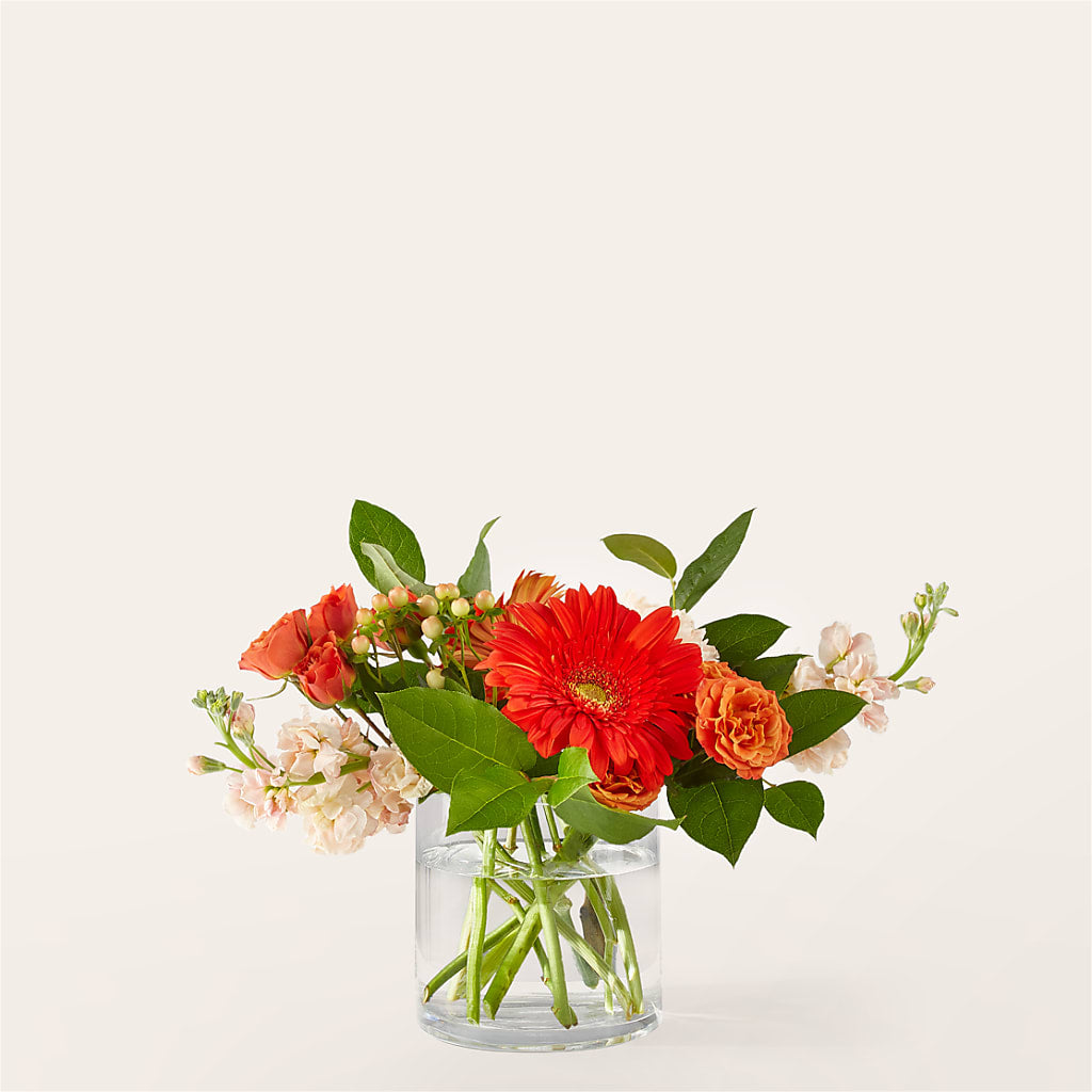 Paloma Please Bouquet – Ginas Flower Shop, South Plainfield NJ
