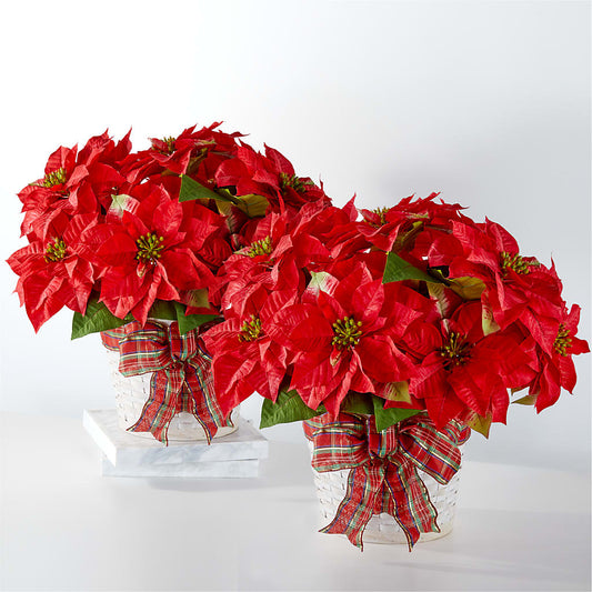 Happiest Holidays Poinsettia Bundle –  Ginas Flower Shop, South Plainfield NJ