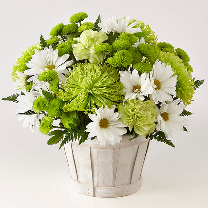 Lucky Charm Basket (Standard) –  Ginas Flower Shop, South Plainfield NJ
