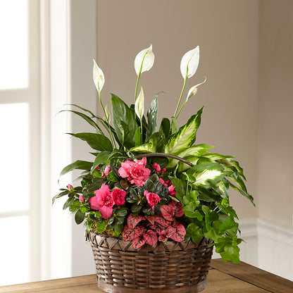 Dream in Pink Dishgarden –  Ginas Flower Shop, South Plainfield NJ