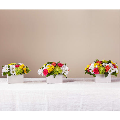 Sorbet Bouquet –  Ginas Flower Shop, South Plainfield NJ