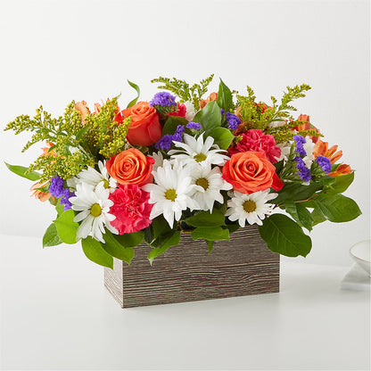 Bouquet Boîte Oopsie Daisy