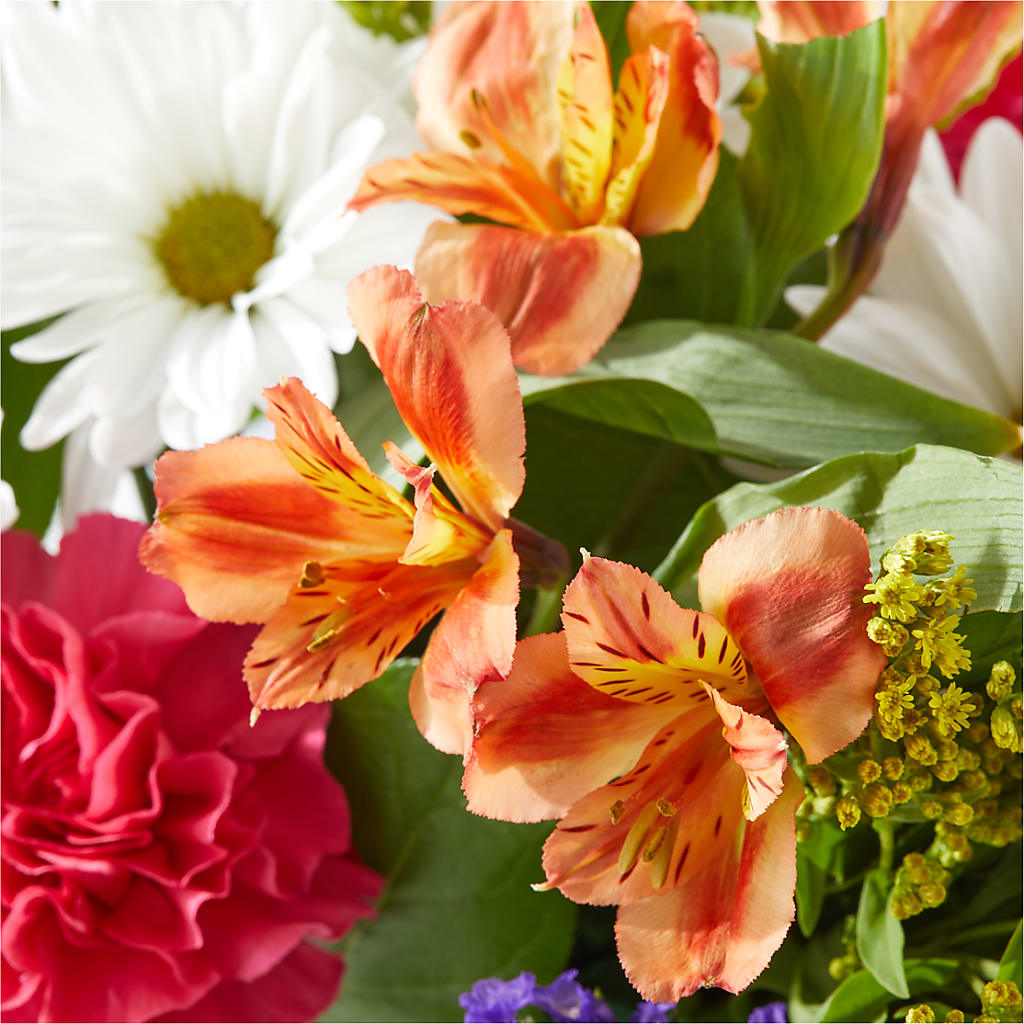 Oopsie Daisy Box Bouquet –  Ginas Flower Shop, South Plainfield NJ