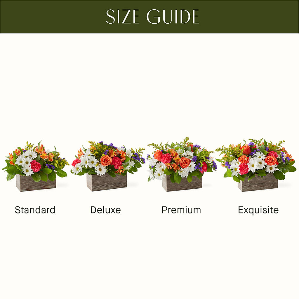 Oopsie Daisy Box Bouquet –  Ginas Flower Shop, South Plainfield NJ