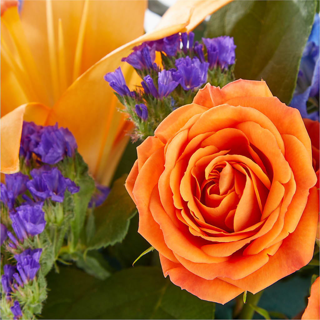 Radiant Citrus Box Bouquet –  Ginas Flower Shop, South Plainfield NJ