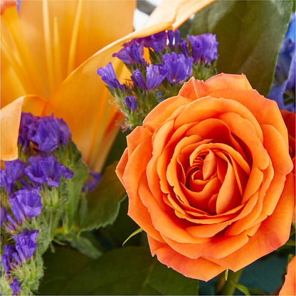 Radiant Citrus Box Bouquet –  Ginas Flower Shop, South Plainfield NJ
