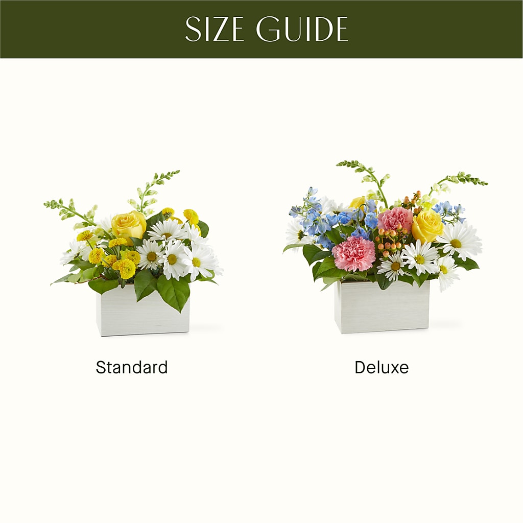 Sun Salutation Box Bouquet –  Ginas Flower Shop, South Plainfield NJ