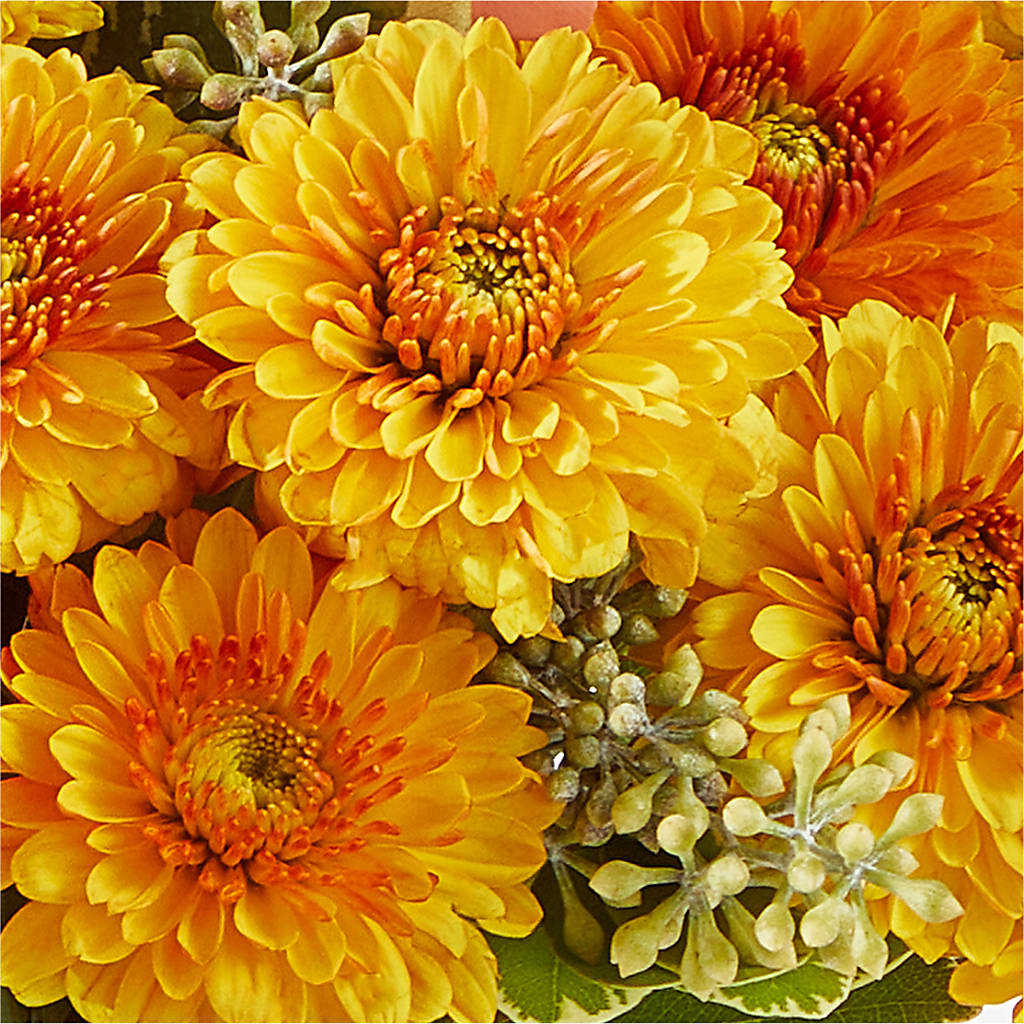 Peachy Pumpkin –  Ginas Flower Shop, South Plainfield NJ