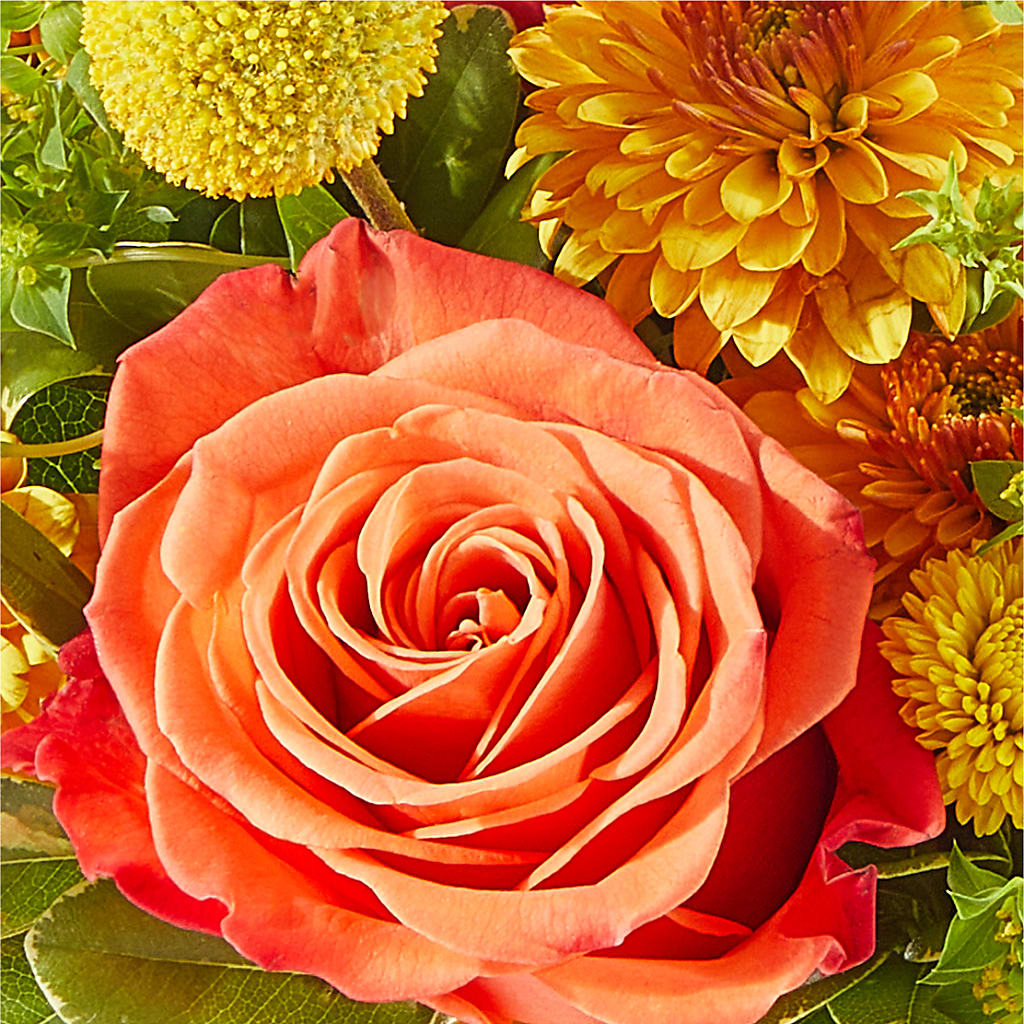 Gourdgeous Pumpkin –  Ginas Flower Shop, South Plainfield NJ