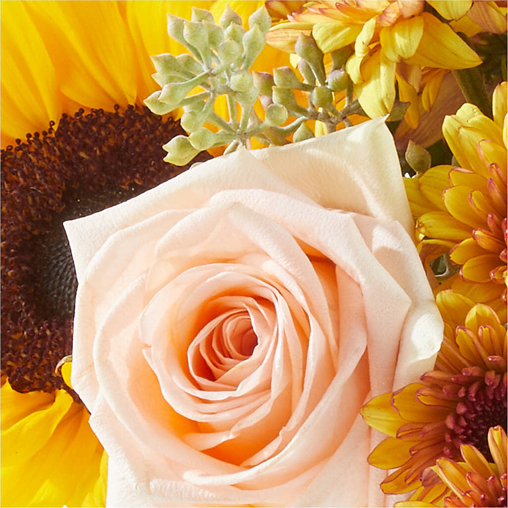 Pumpkin to Talk About Bouquet –  Ginas Flower Shop, South Plainfield NJ