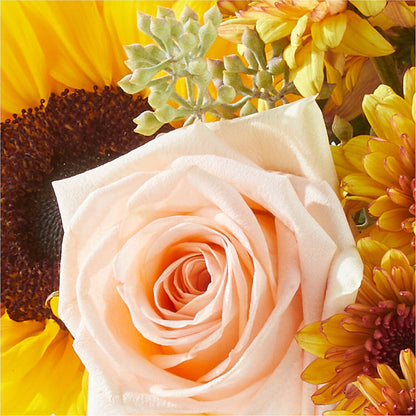 Pumpkin to Talk About Bouquet –  Ginas Flower Shop, South Plainfield NJ