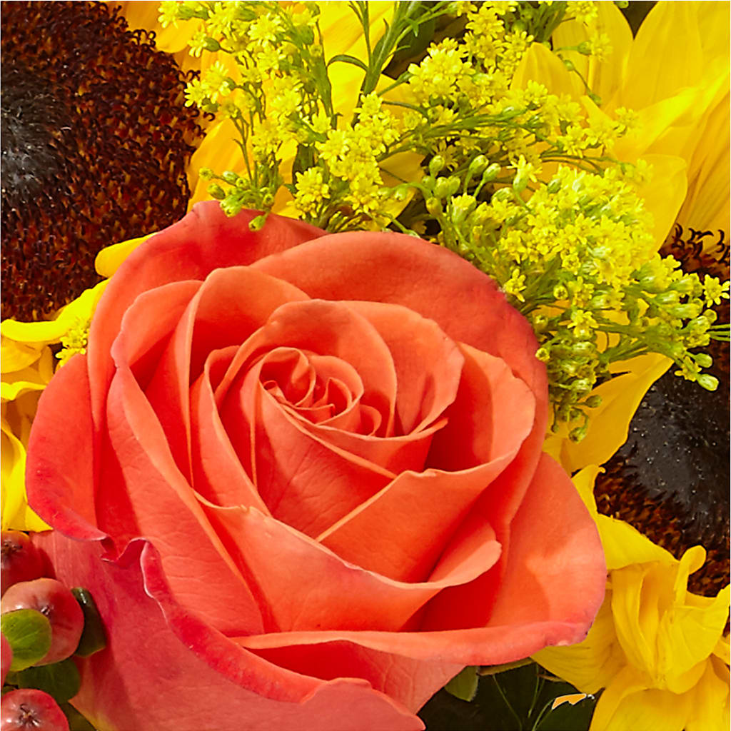 Pick of the Patch Pumpkin Bouquet –  Ginas Flower Shop, South Plainfield NJ