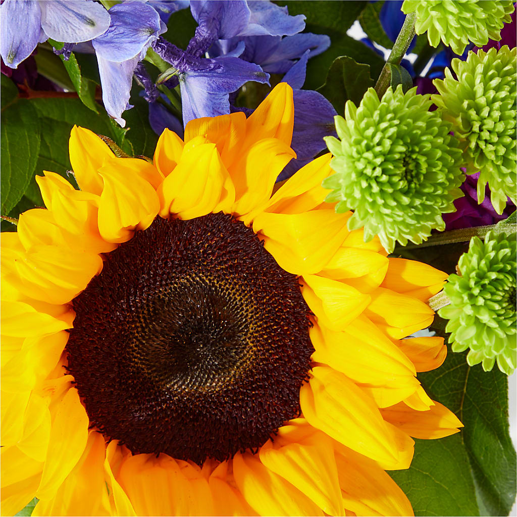 Catching Rays Bouquet –  Ginas Flower Shop, South Plainfield NJ