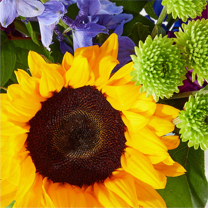 Catching Rays Bouquet –  Ginas Flower Shop, South Plainfield NJ