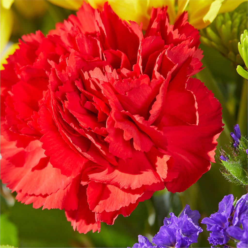 Brighter Days Bouquet –  Ginas Flower Shop, South Plainfield NJ
