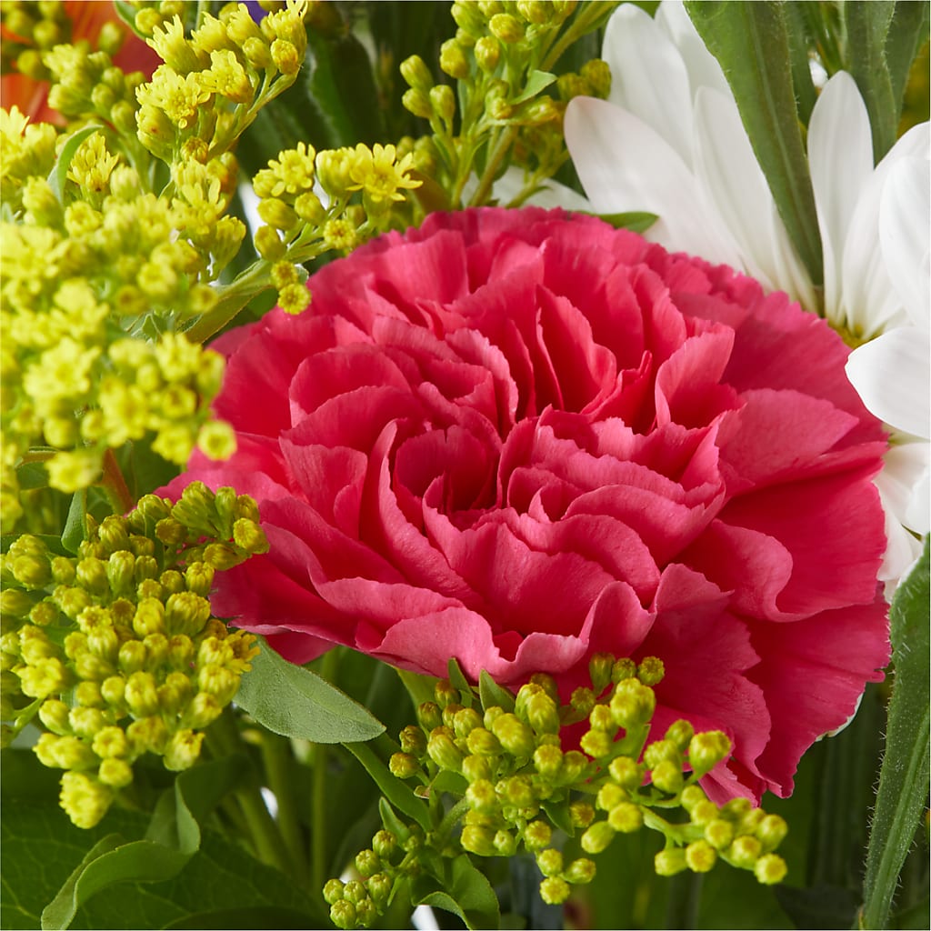 Oopsie Daisy Bouquet –  Ginas Flower Shop, South Plainfield NJ