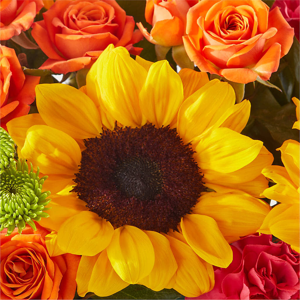 Sun-drenched Blooms Box Bouquet –  Ginas Flower Shop, South Plainfield NJ