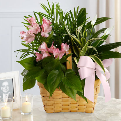 Living Spirit Dishgarden –  Ginas Flower Shop, South Plainfield NJ