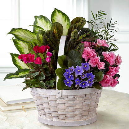 Peaceful Garden Planter –  Ginas Flower Shop, South Plainfield NJ