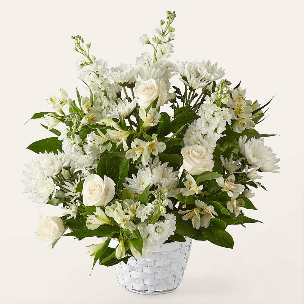 Arrangement Affection Éternelle
