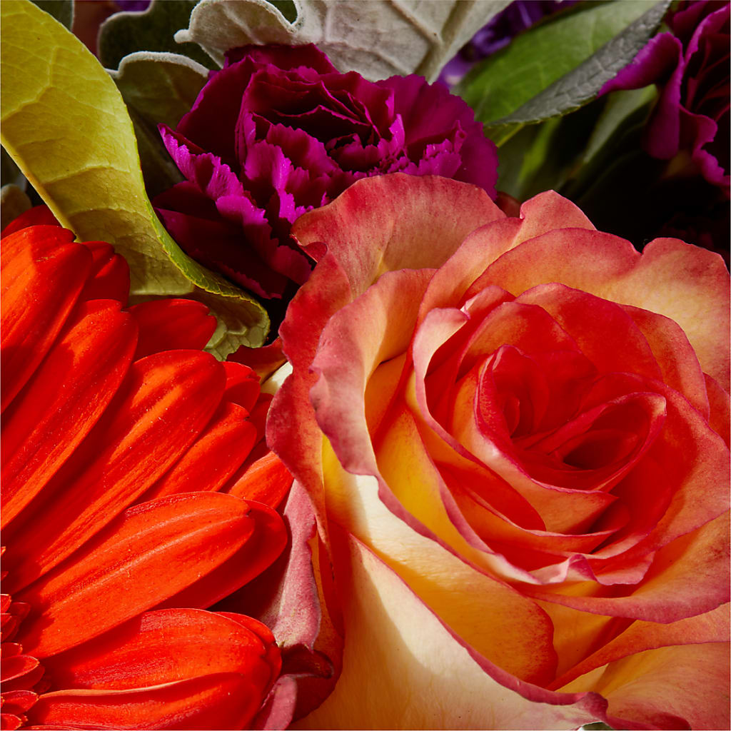 Sangria Bouquet –  Ginas Flower Shop, South Plainfield NJ