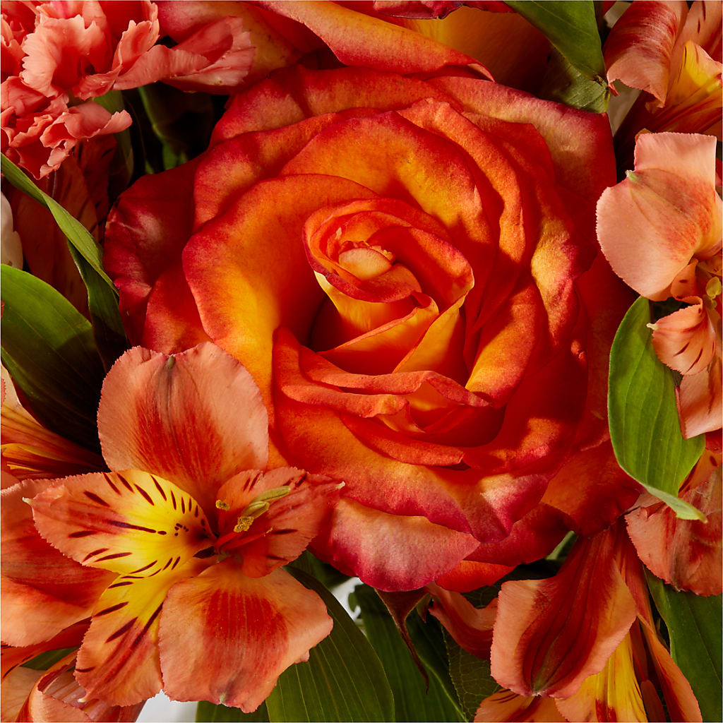 Apricot Glow Bouquet –  Ginas Flower Shop, South Plainfield NJ