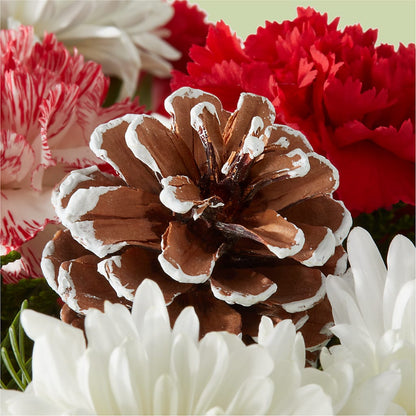 Candy Cane Lane Bouquet –  Ginas Flower Shop, South Plainfield NJ