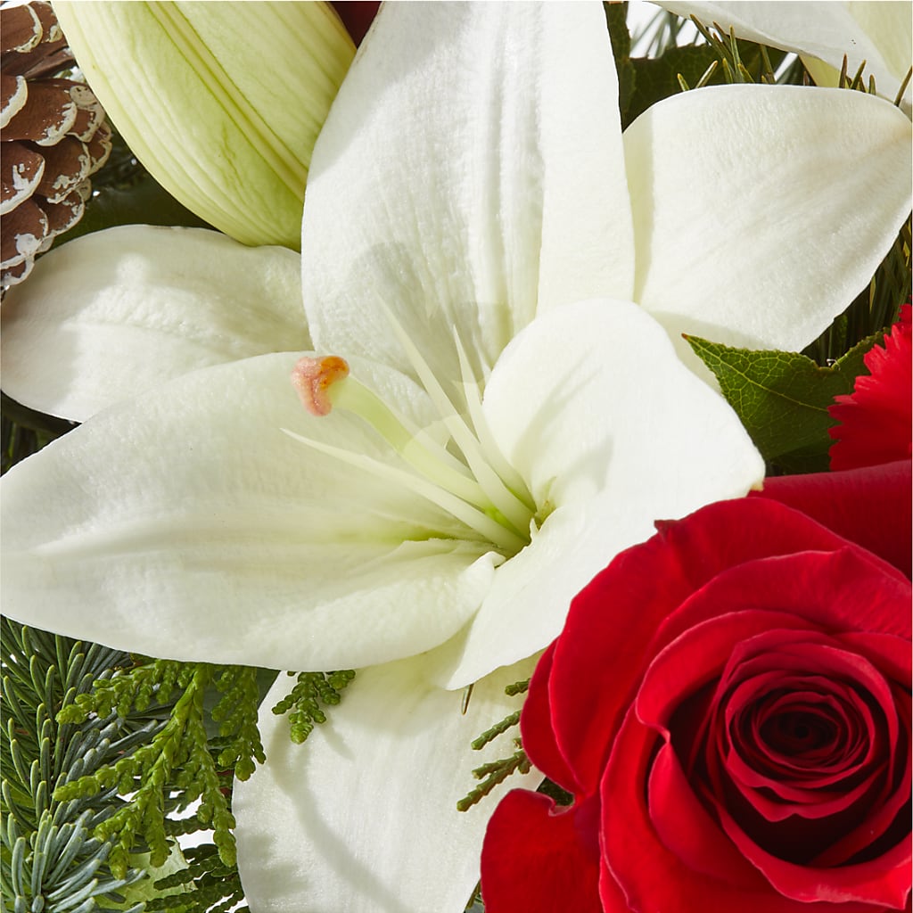 Oh So Jolly Bouquet –  Ginas Flower Shop, South Plainfield NJ