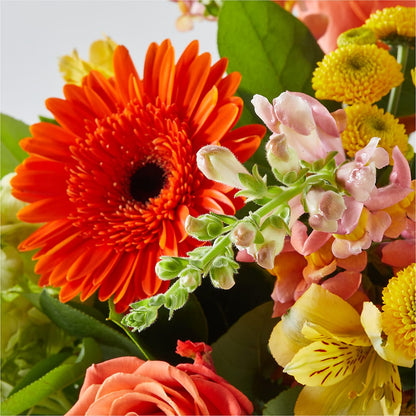 Autumn Sunshine Bouquet –  Ginas Flower Shop, South Plainfield NJ