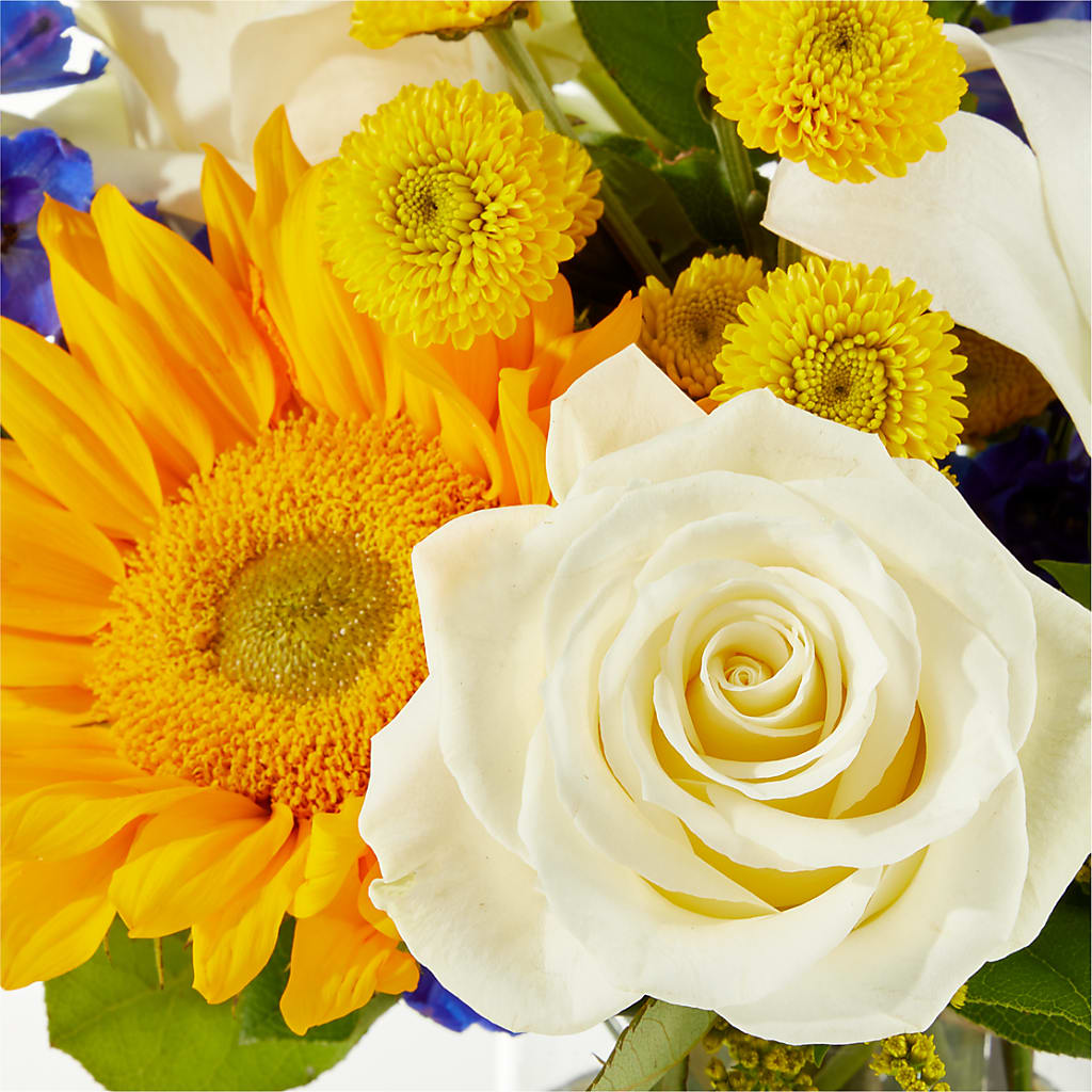 Stargazing Bouquet –  Ginas Flower Shop, South Plainfield NJ