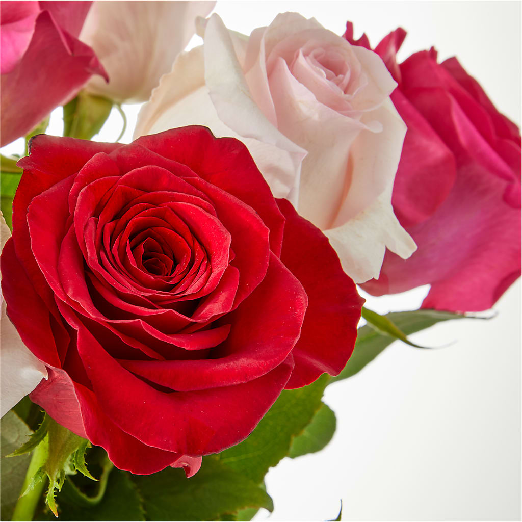 Charming Rose Bouquet –  Ginas Flower Shop, South Plainfield NJ