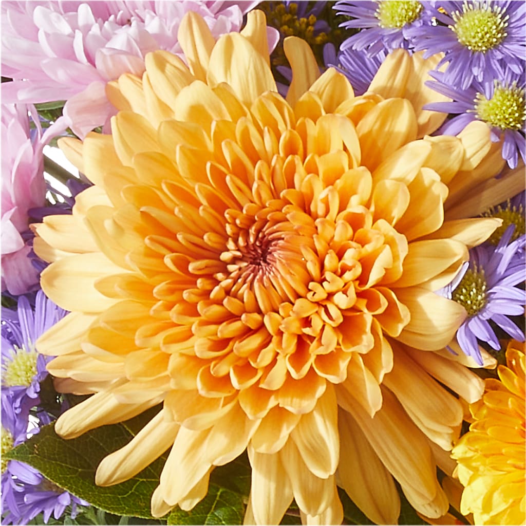 Countryside Bouquet –  Ginas Flower Shop, South Plainfield NJ