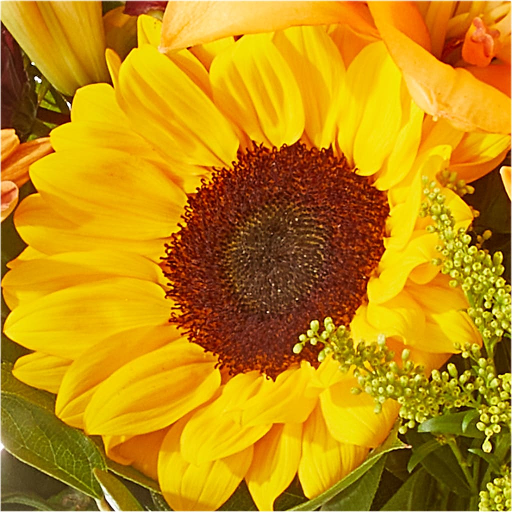 Seasons Change Bouquet –  Ginas Flower Shop, South Plainfield NJ