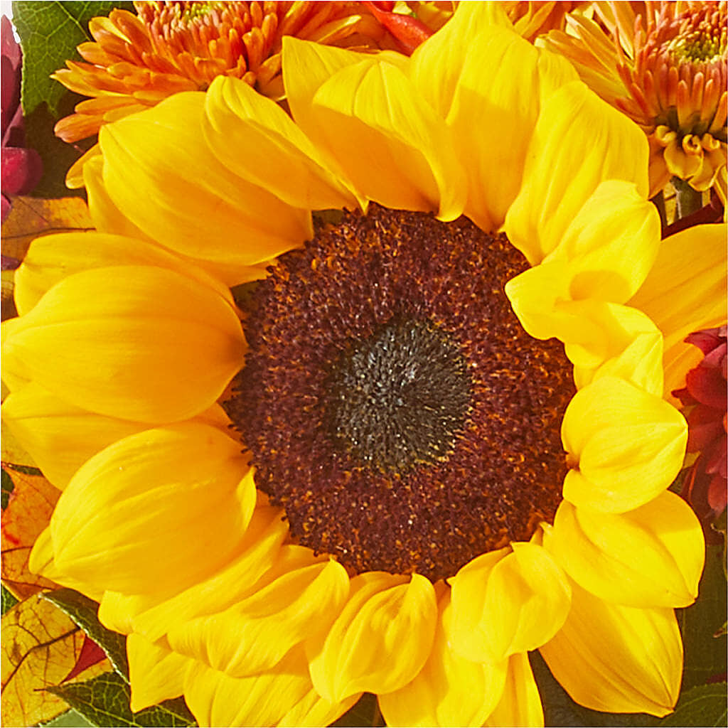 Sunny Side Bouquet –  Ginas Flower Shop, South Plainfield NJ