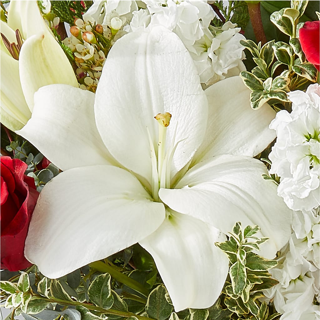 Twinkle Lights Bouquet –  Ginas Flower Shop, South Plainfield NJ