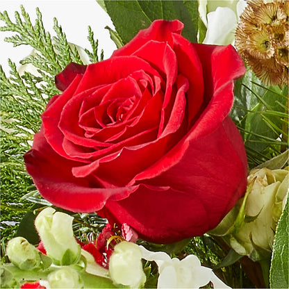 Deck the Halls Bouquet –  Ginas Flower Shop, South Plainfield NJ