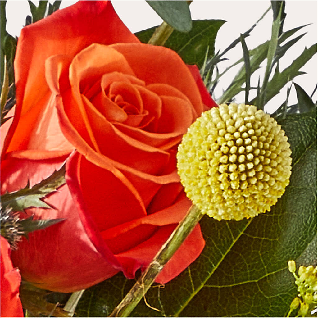 Disco Bouquet –  Ginas Flower Shop, South Plainfield NJ