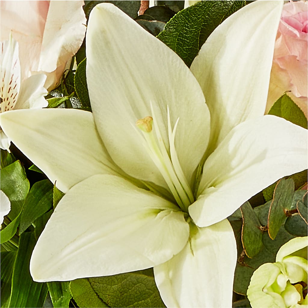 Ballet Slippers Bouquet –  Ginas Flower Shop, South Plainfield NJ