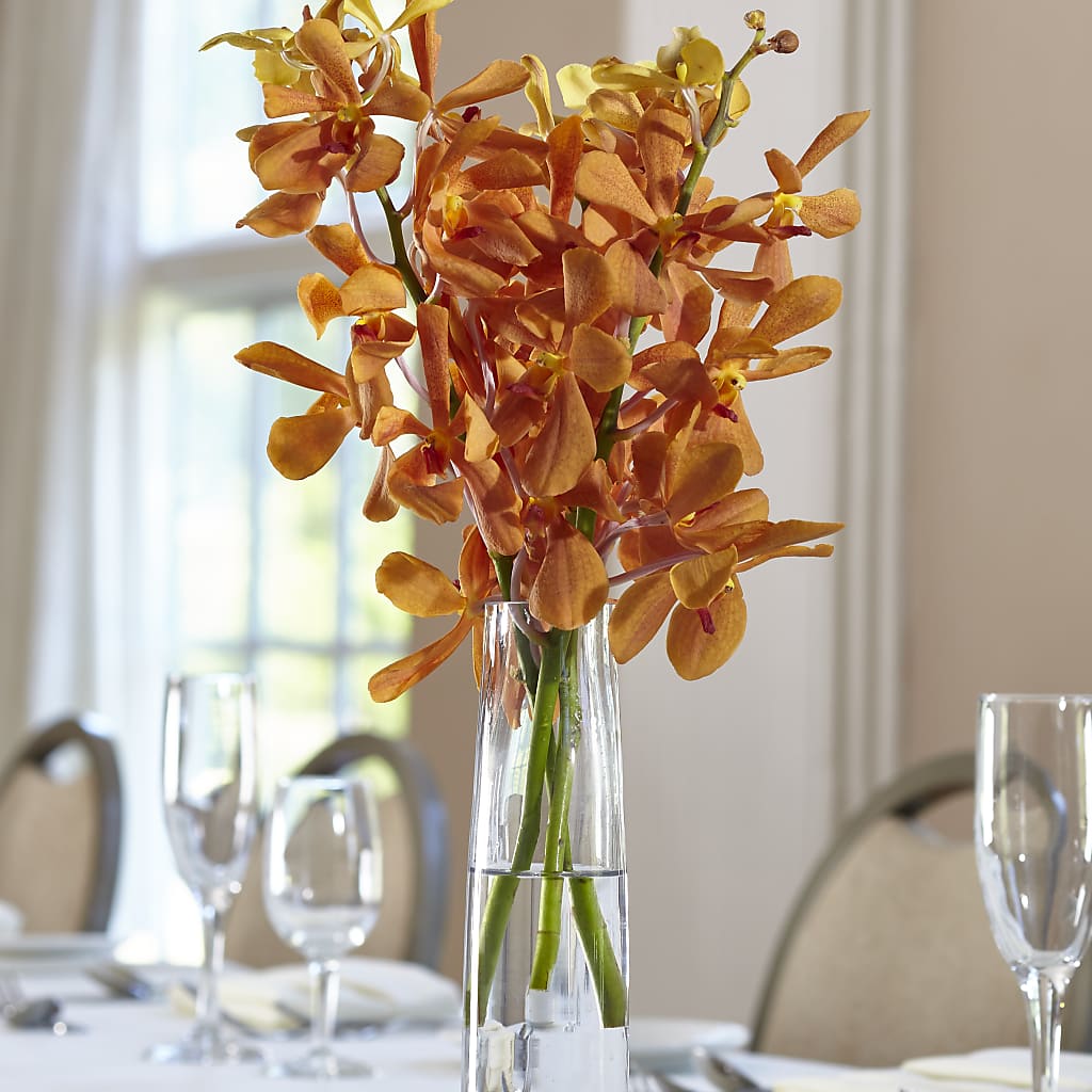 Vase Soliflore Mokara Orange