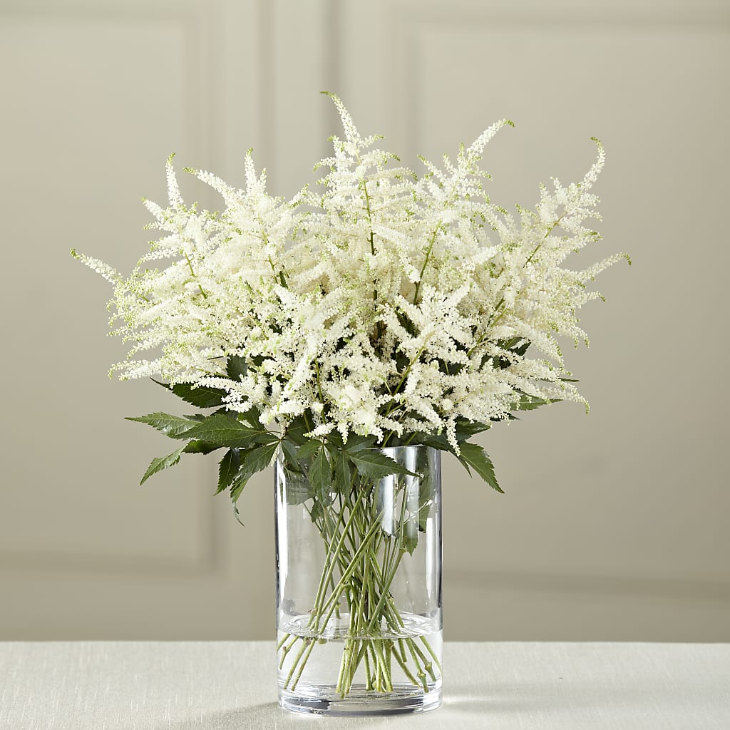 Bouquet d'astilbes blanches